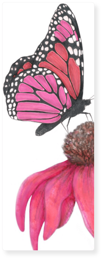 Hero Slide Butterfly Flower